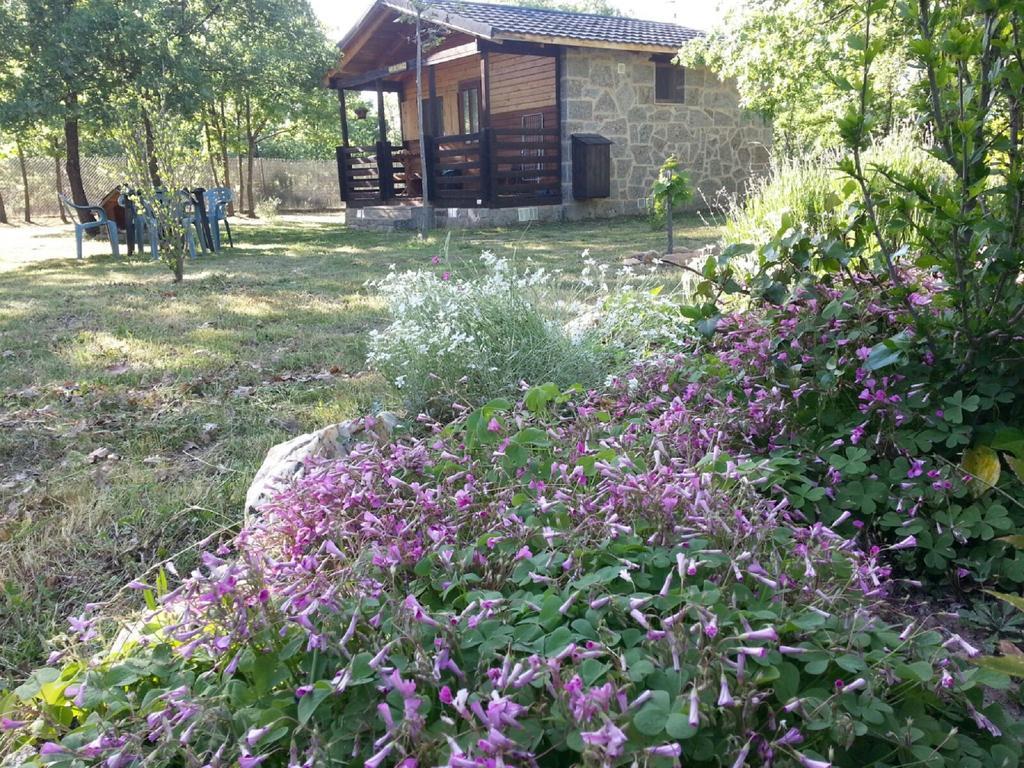 Cabanas Vallecino Manzanal de los Infantes Kültér fotó