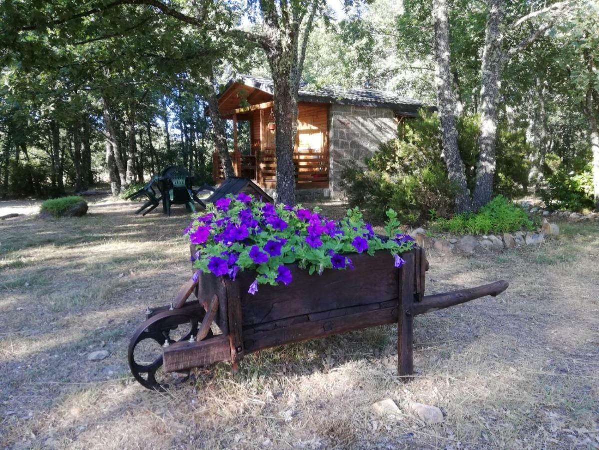 Cabanas Vallecino Manzanal de los Infantes Kültér fotó