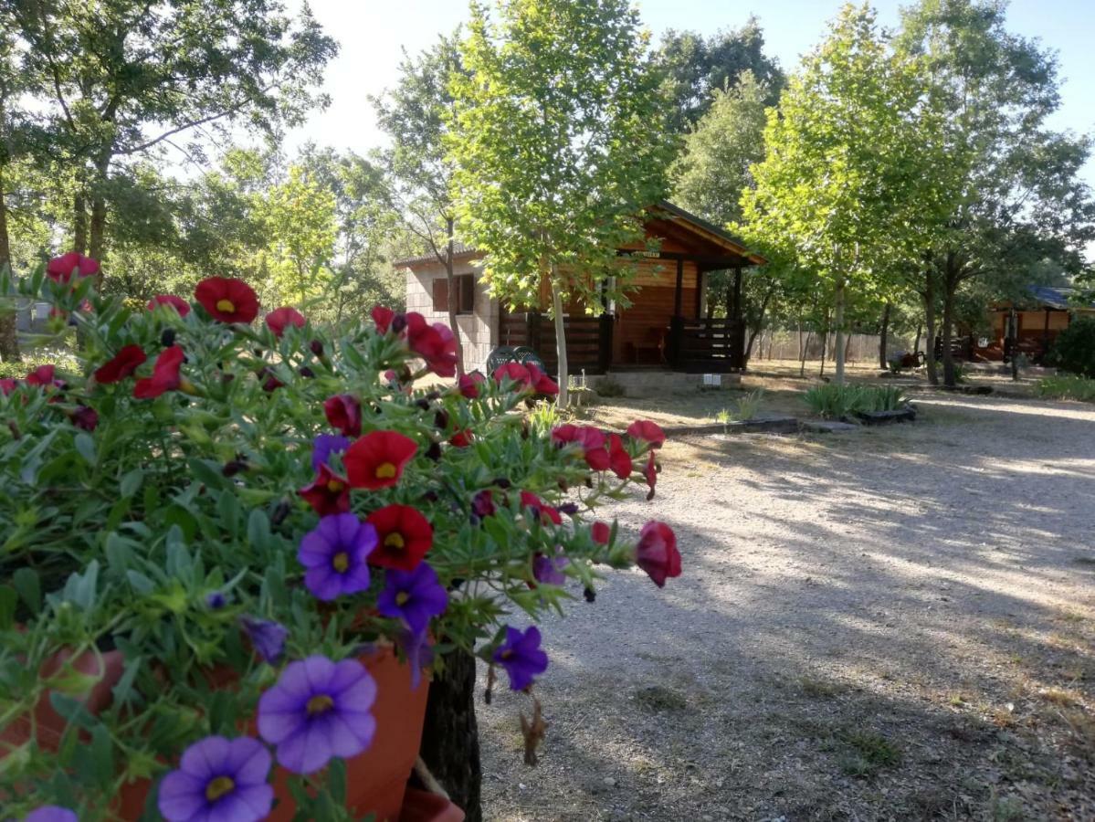Cabanas Vallecino Manzanal de los Infantes Kültér fotó